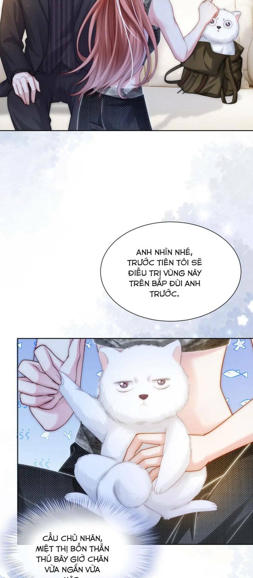 Sau Khi Bị Cướp Đi Tất Cả, Cô Ấy Phong Thần Trở Về: Chapter 19
