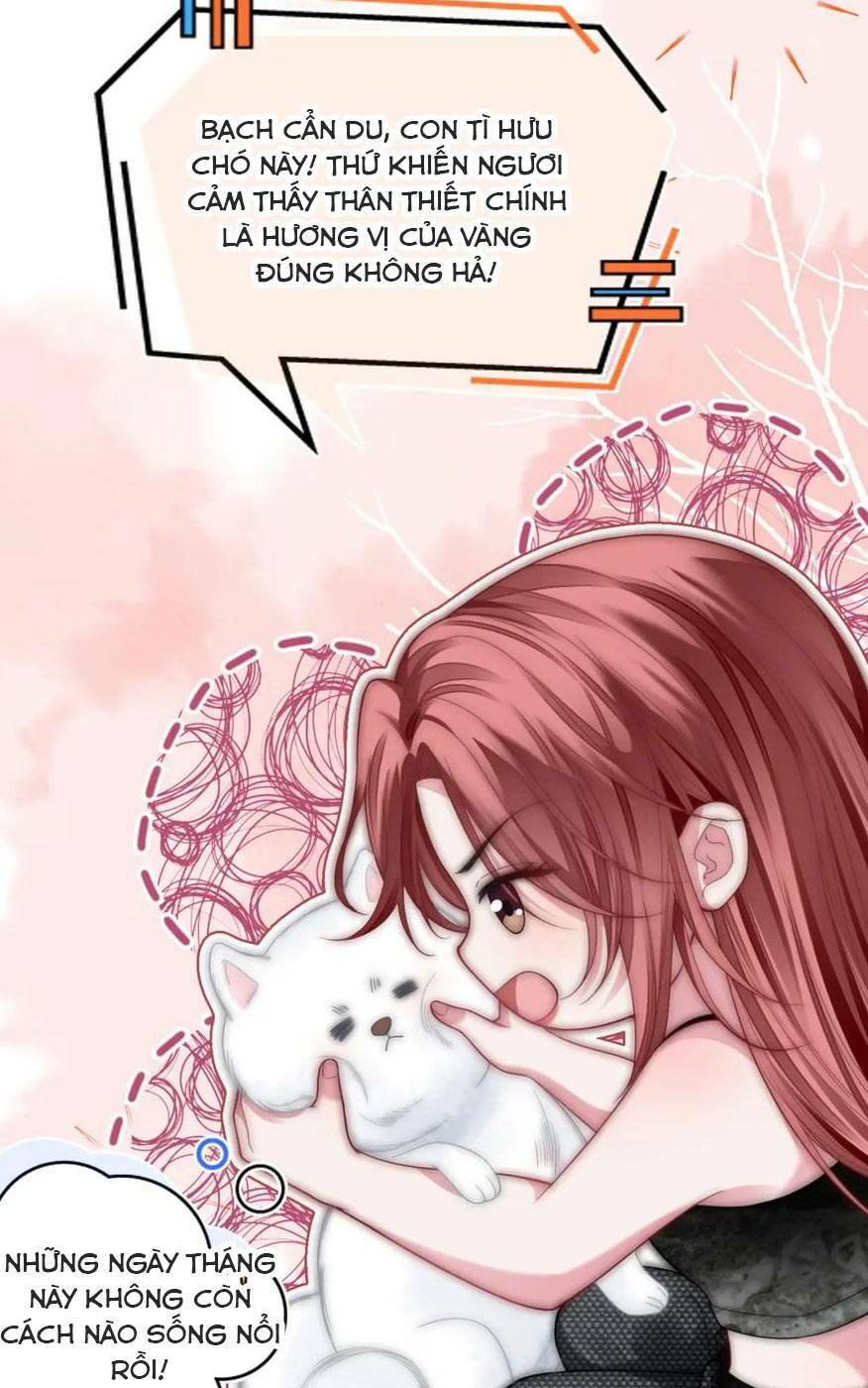 Sau Khi Bị Cướp Đi Tất Cả, Cô Ấy Phong Thần Trở Về: Chapter 19