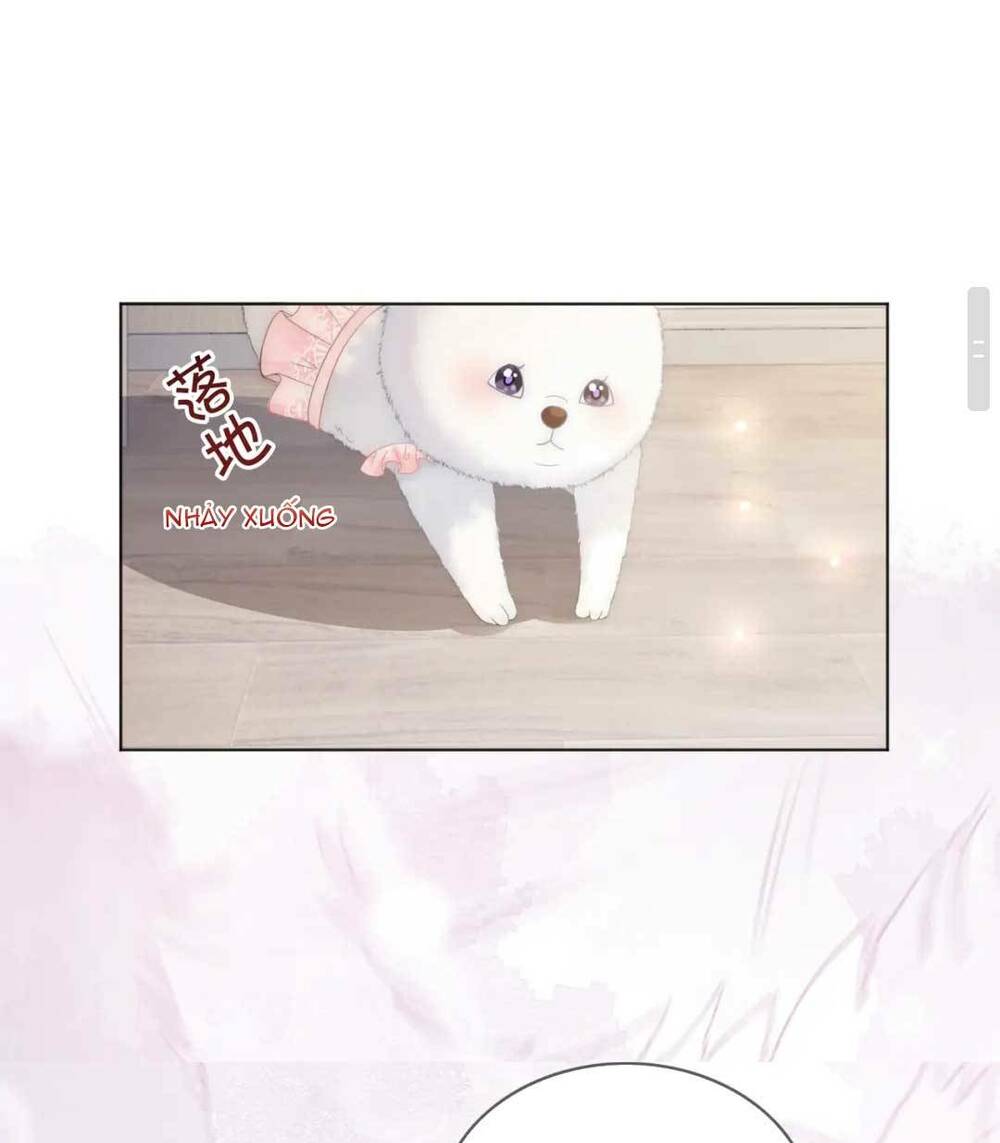 Sau Khi Bị Cướp Đi Tất Cả, Cô Ấy Phong Thần Trở Về: Chapter 32