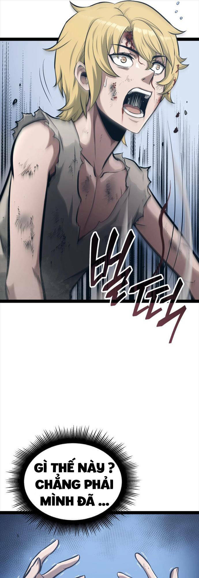 Nhà Vô Địch Kalli: Chapter 1
