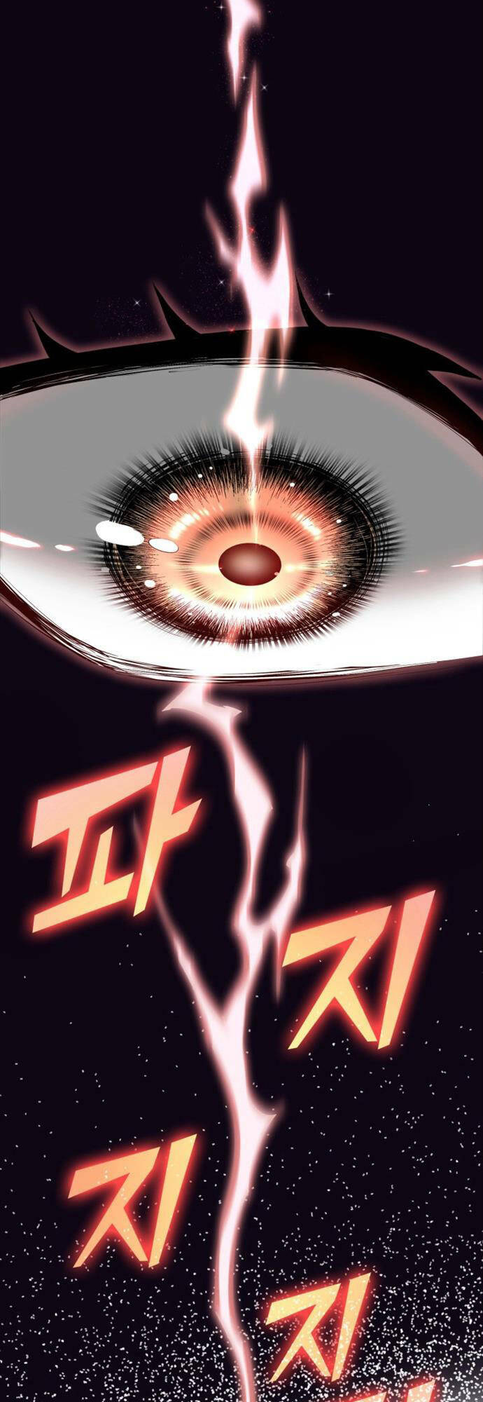 Nhà Vô Địch Kalli: Chapter 1