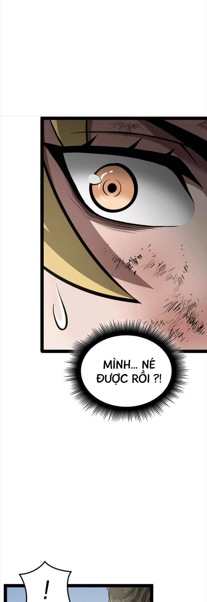 Nhà Vô Địch Kalli: Chapter 1