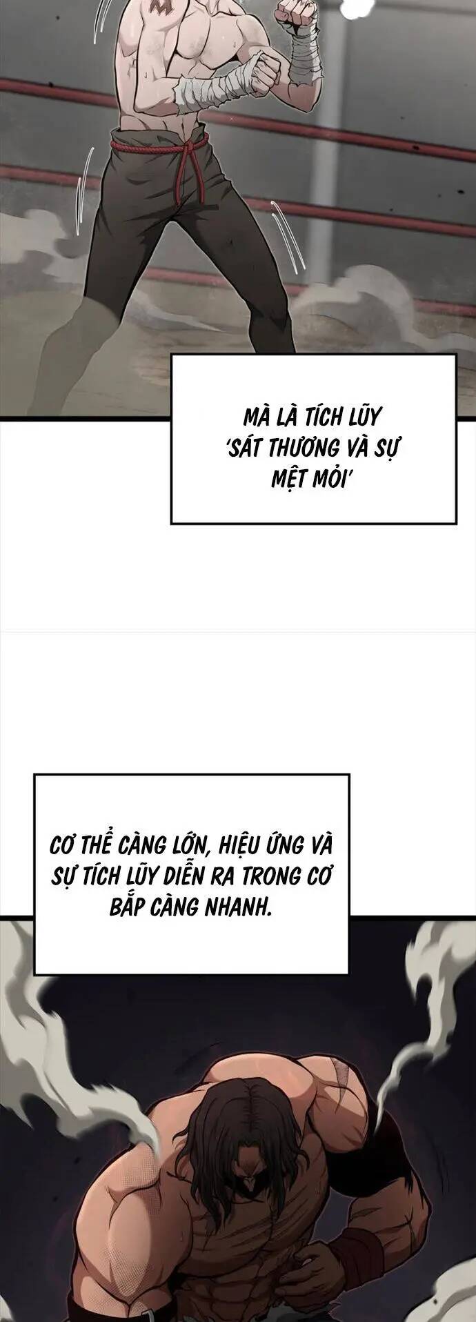 Nhà Vô Địch Kalli: Chapter 24
