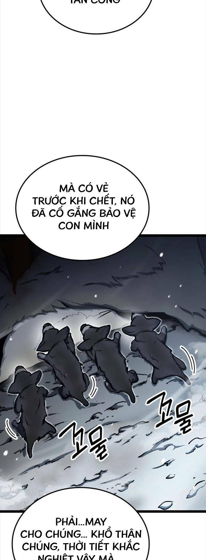 Nhà Vô Địch Kalli: Chapter 29