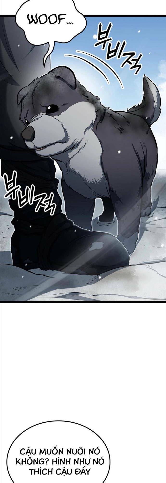 Nhà Vô Địch Kalli: Chapter 29