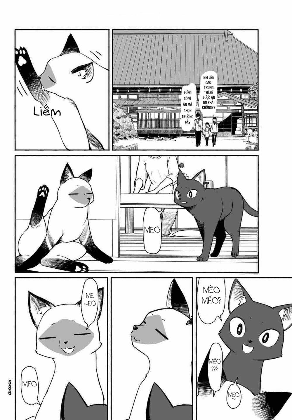 Flying Witch: Chapter 33