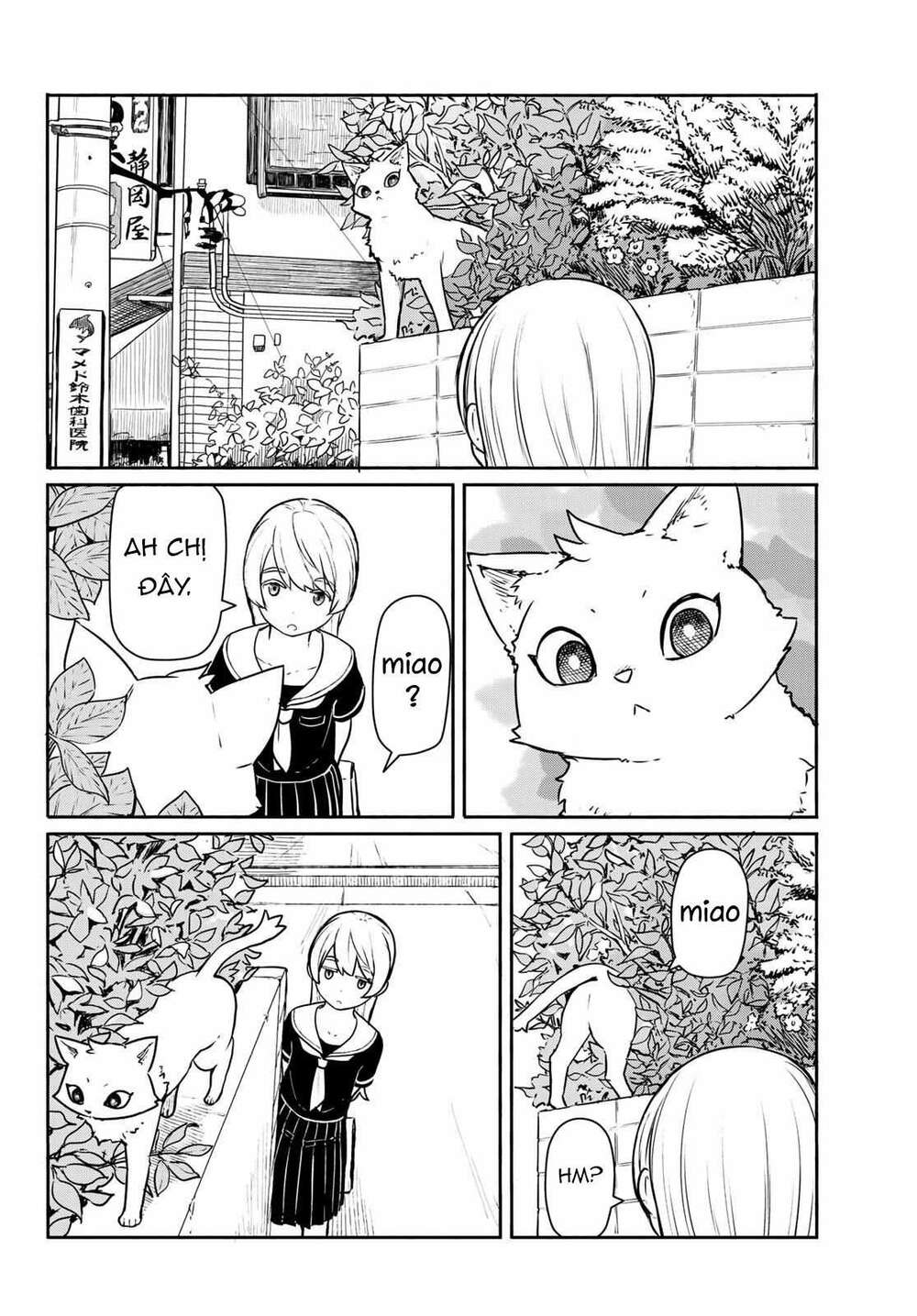 Flying Witch: Chapter 45