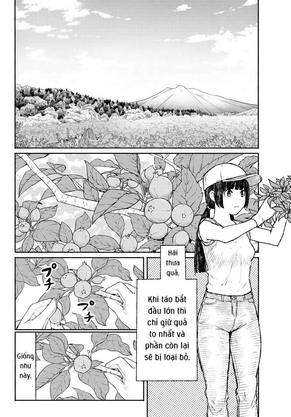 Flying Witch: Chapter 47