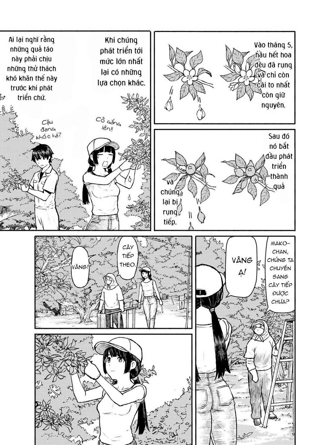 Flying Witch: Chapter 47