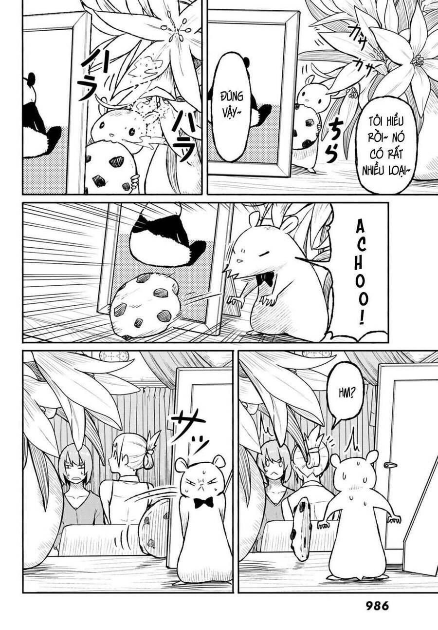 Flying Witch: Chapter 49