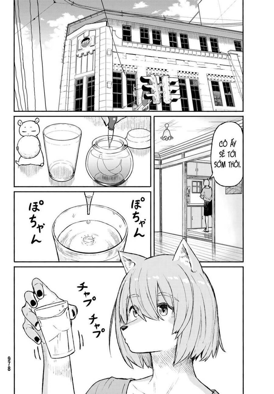 Flying Witch: Chapter 49