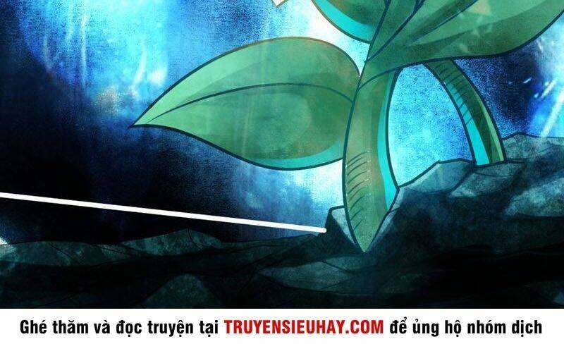 Tiên Võ Đế Tôn: Chapter 2