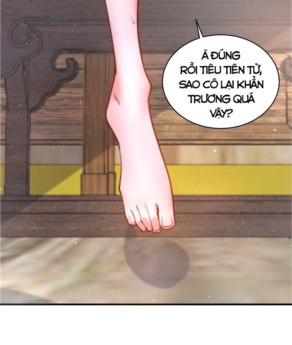 Nữ Đồ Đệ Ai Nấy Đều Muốn Giết Ta: Chapter 23