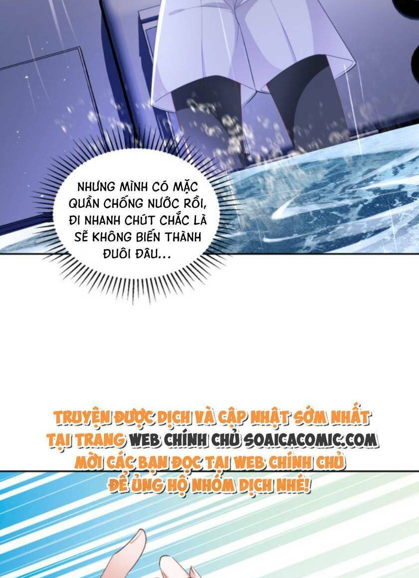 Tổng Tài Huyết Tộc Cực Sủng Cô Vợ Mỹ Nhân Ngư: Chapter 32
