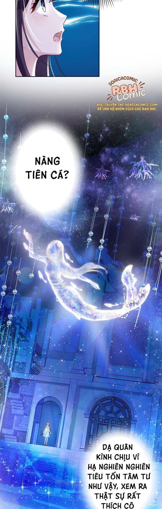 Tổng Tài Huyết Tộc Cực Sủng Cô Vợ Mỹ Nhân Ngư: Chapter 6