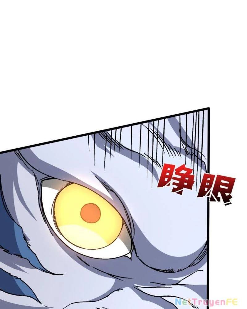 Bắt Đầu Kế Nhiệm Boss Hắc Long, Ta Vô Địch: Chapter 13