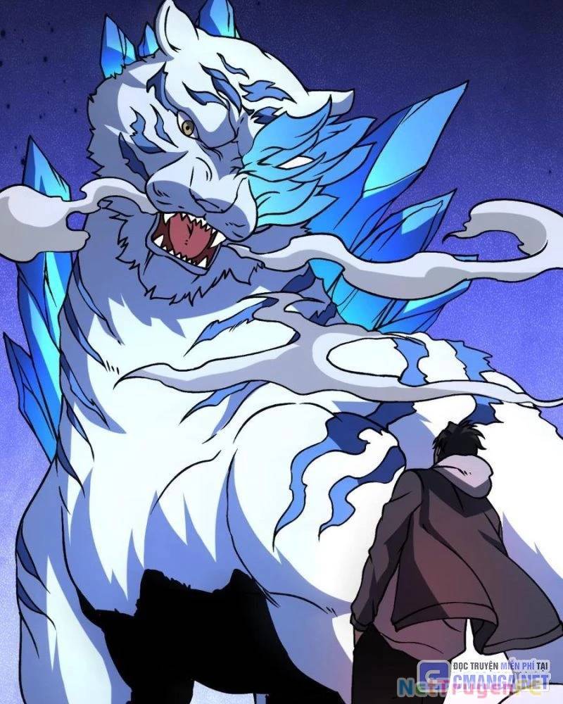 Bắt Đầu Kế Nhiệm Boss Hắc Long, Ta Vô Địch: Chapter 13