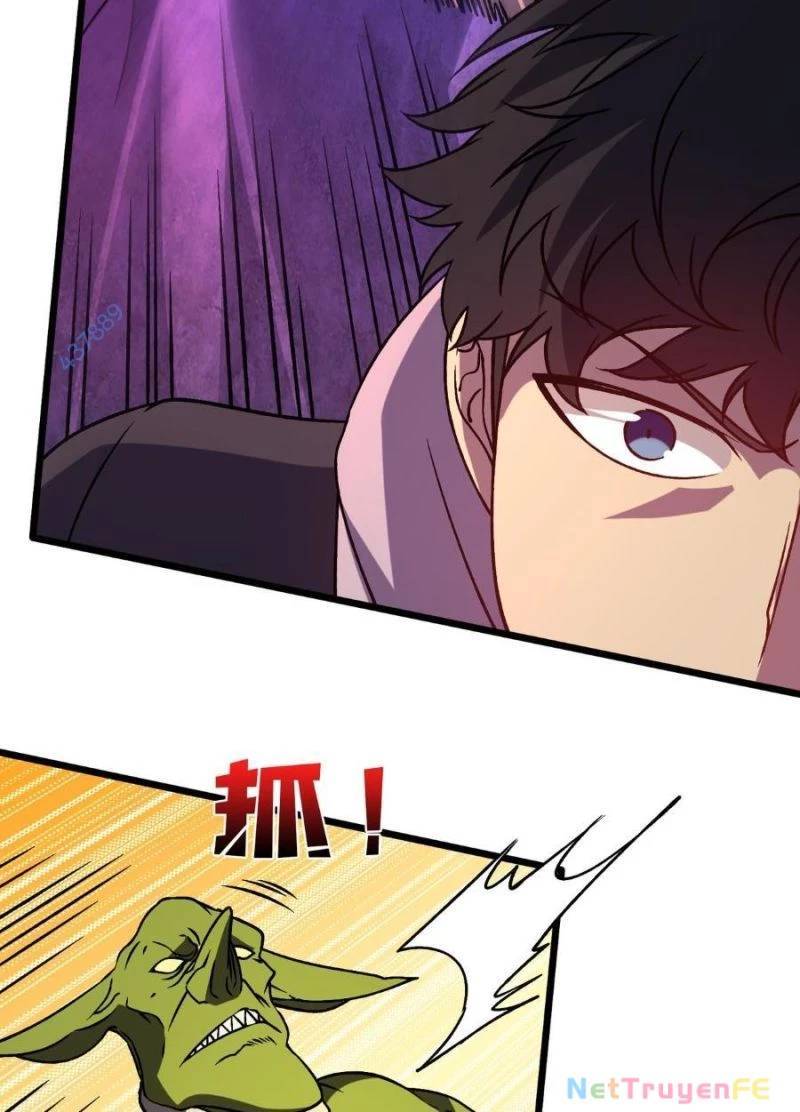 Bắt Đầu Kế Nhiệm Boss Hắc Long, Ta Vô Địch: Chapter 13