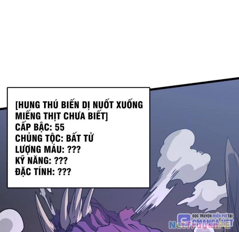 Bắt Đầu Kế Nhiệm Boss Hắc Long, Ta Vô Địch: Chapter 15