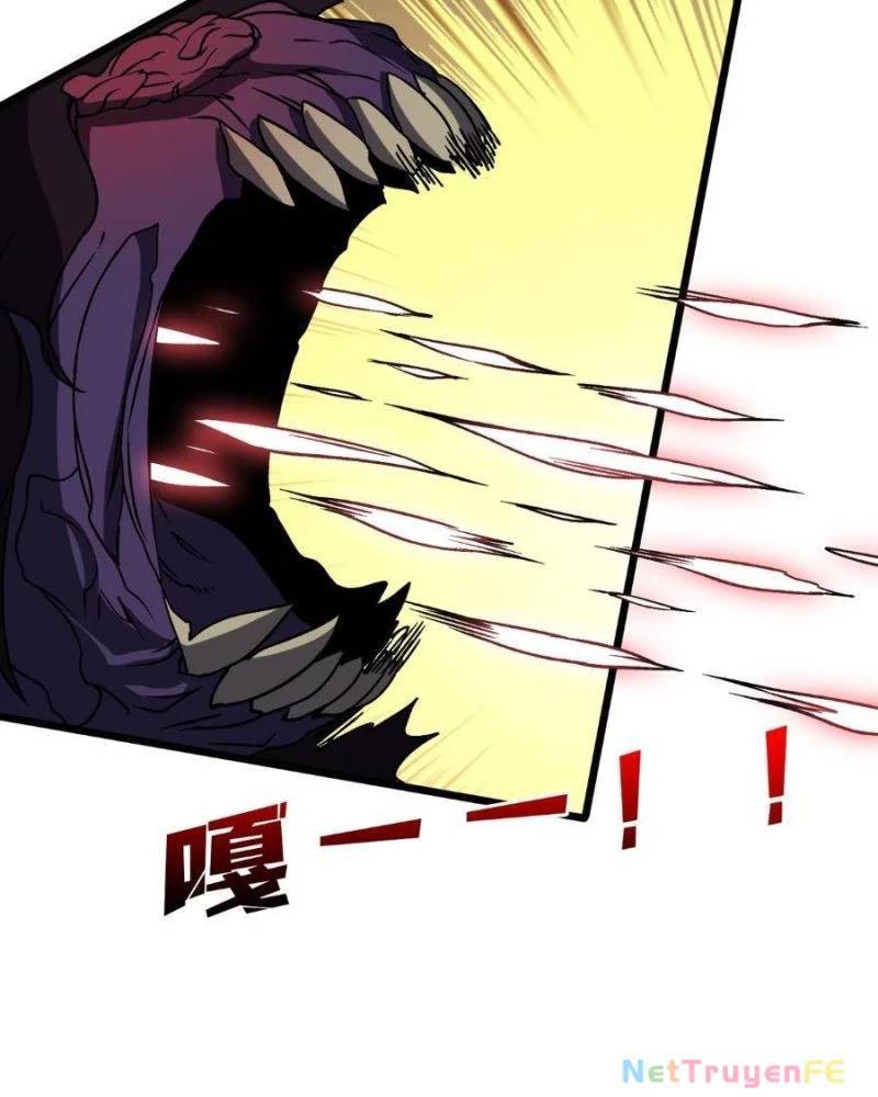 Bắt Đầu Kế Nhiệm Boss Hắc Long, Ta Vô Địch: Chapter 15