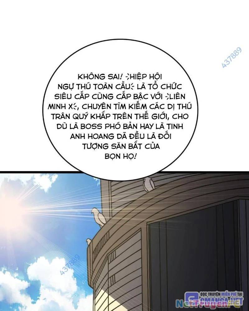 Bắt Đầu Kế Nhiệm Boss Hắc Long, Ta Vô Địch: Chapter 16