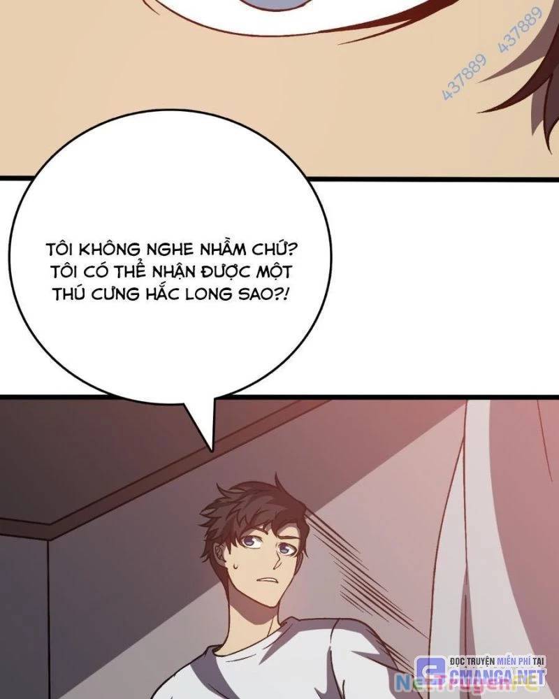 Bắt Đầu Kế Nhiệm Boss Hắc Long, Ta Vô Địch: Chapter 16