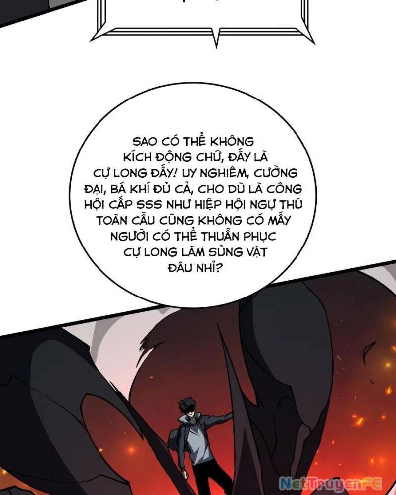 Bắt Đầu Kế Nhiệm Boss Hắc Long, Ta Vô Địch: Chapter 16