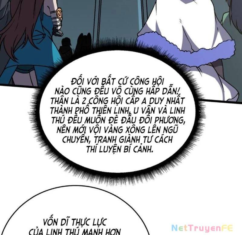 Bắt Đầu Kế Nhiệm Boss Hắc Long, Ta Vô Địch: Chapter 17