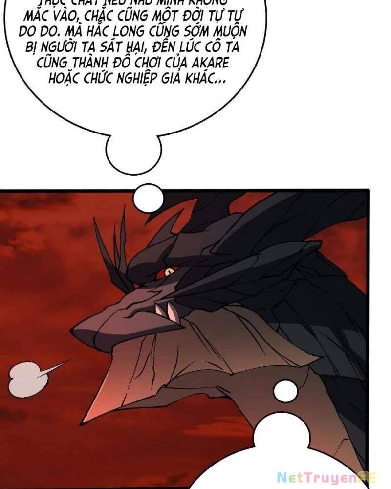 Bắt Đầu Kế Nhiệm Boss Hắc Long, Ta Vô Địch: Chapter 20