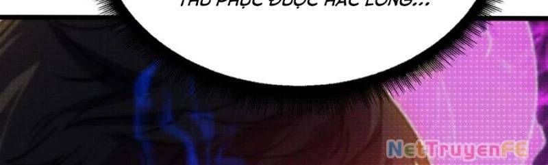 Bắt Đầu Kế Nhiệm Boss Hắc Long, Ta Vô Địch: Chapter 29
