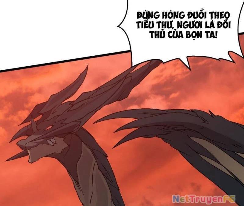 Bắt Đầu Kế Nhiệm Boss Hắc Long, Ta Vô Địch: Chapter 31