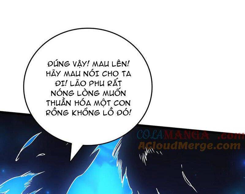 Bắt Đầu Kế Nhiệm Boss Hắc Long, Ta Vô Địch: Chapter 40