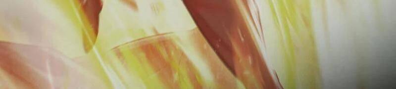 Pháp Sư Cận Chiến Mạnh Nhất: Chapter 64