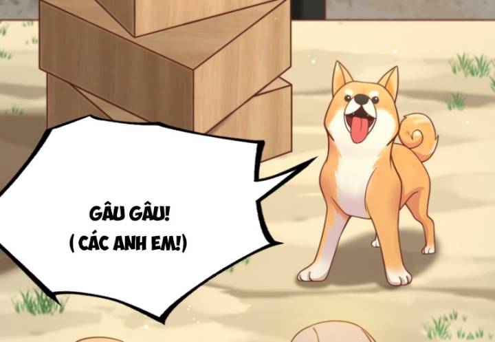 Chính Nghĩa Không!! Ta Trở Thành Phản Diện: Chapter 49