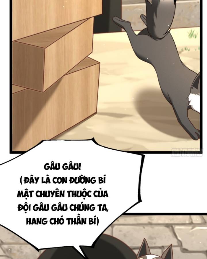 Chính Nghĩa Không!! Ta Trở Thành Phản Diện: Chapter 49