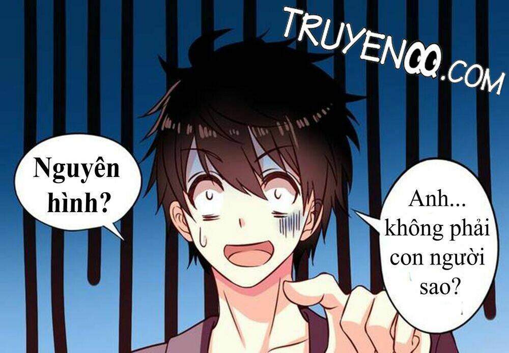Chủ Nhà Phá Phách Của Tôi: Chapter 3