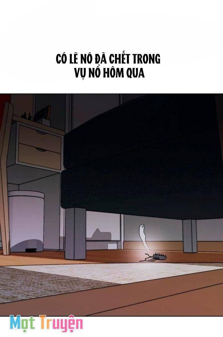 Hôn Trước Khi Ngủ: Chapter 2
