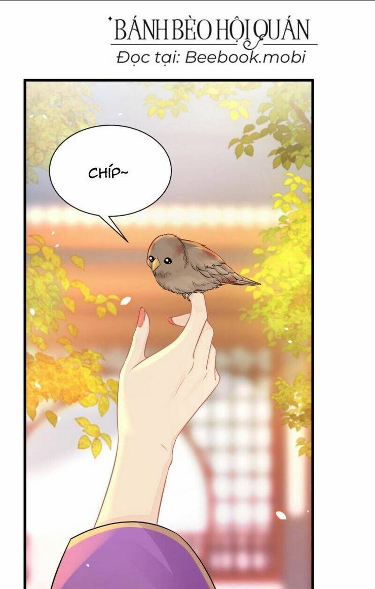 XUYÊN NHANH : KÝ CHỦ CÔ ẤY MỘT LÒNG MUỐN CHẾT: Chapter 5