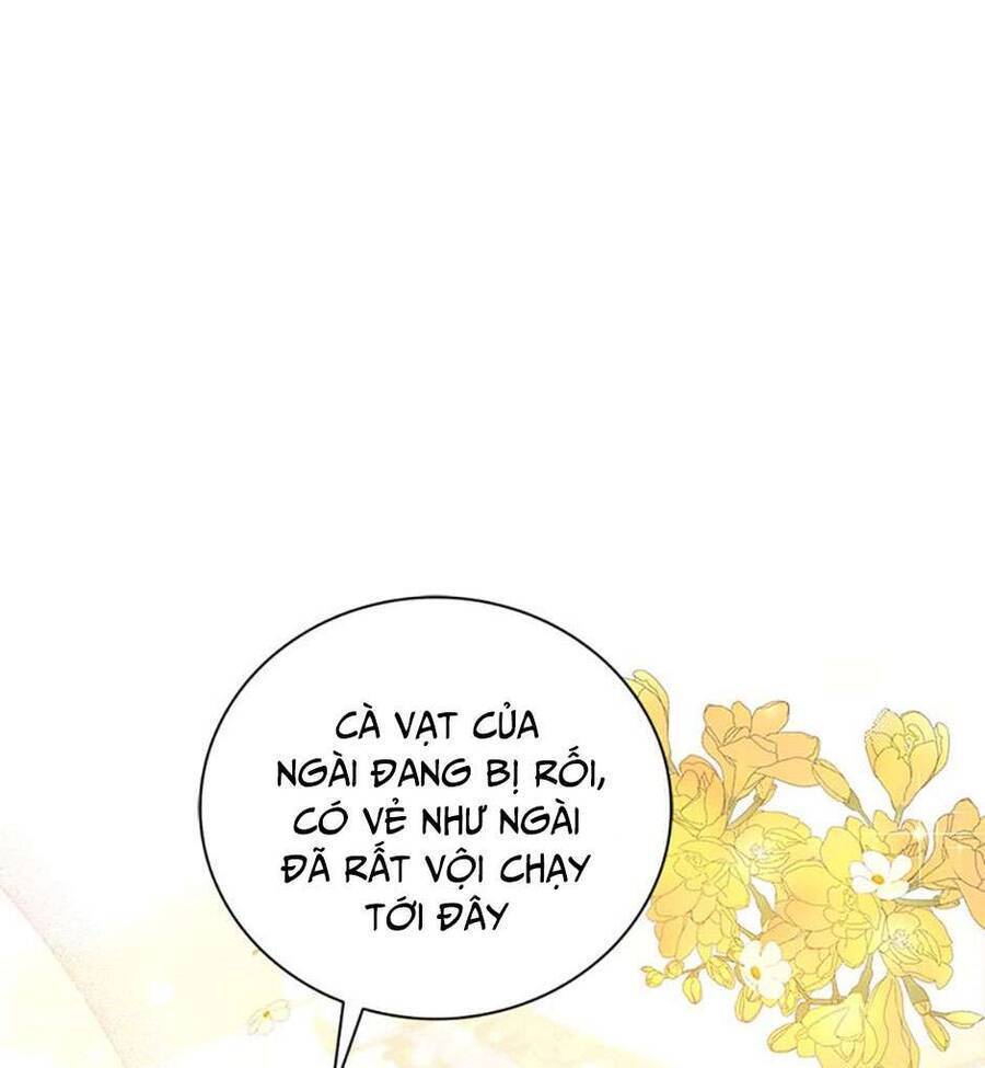 Hầu Gái Trong Trò Chơi Harem Ngược Muốn Nghỉ Việc: Chapter 5